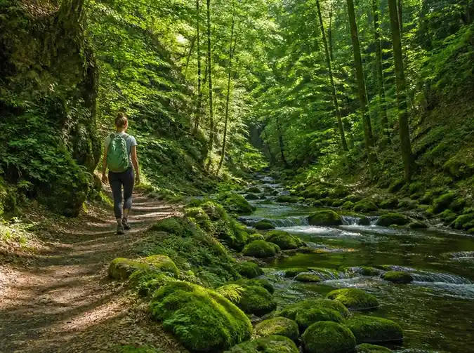 Naturerlebnis und Entspannung bei der Wanderung Rückersbacher Schlucht