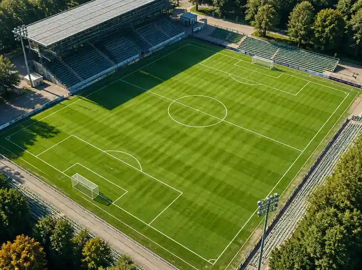Wie groß ist ein fußballfeld in hektar und warum ist das relevant?